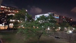 Blk 945 Tampines Avenue 4 (Tampines), HDB 4 Rooms #168582842